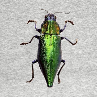 Buprestidae Jewel Beetle T-Shirt